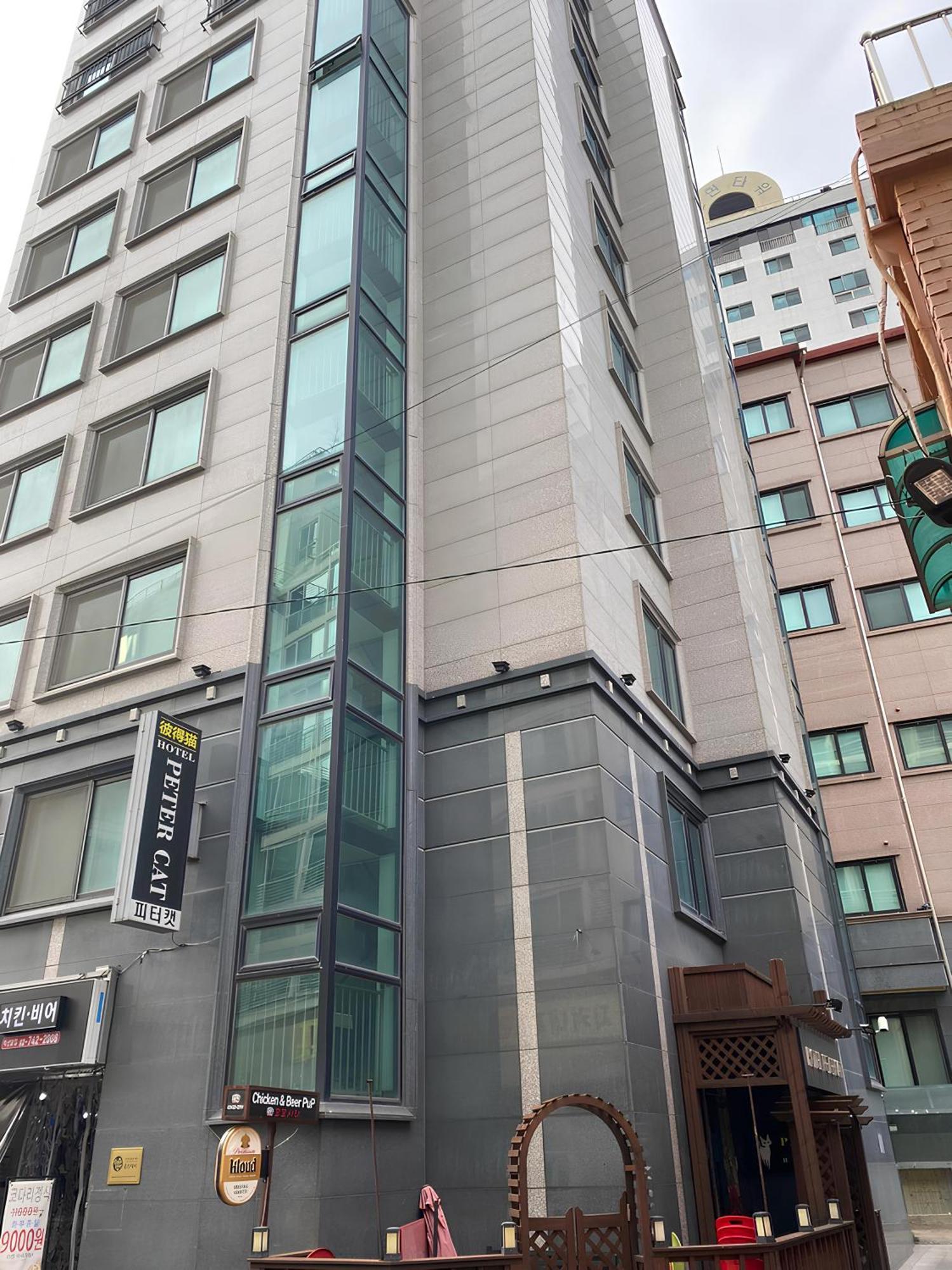 Ssh Ikseon Peter Cat Hostel 首爾 外观 照片