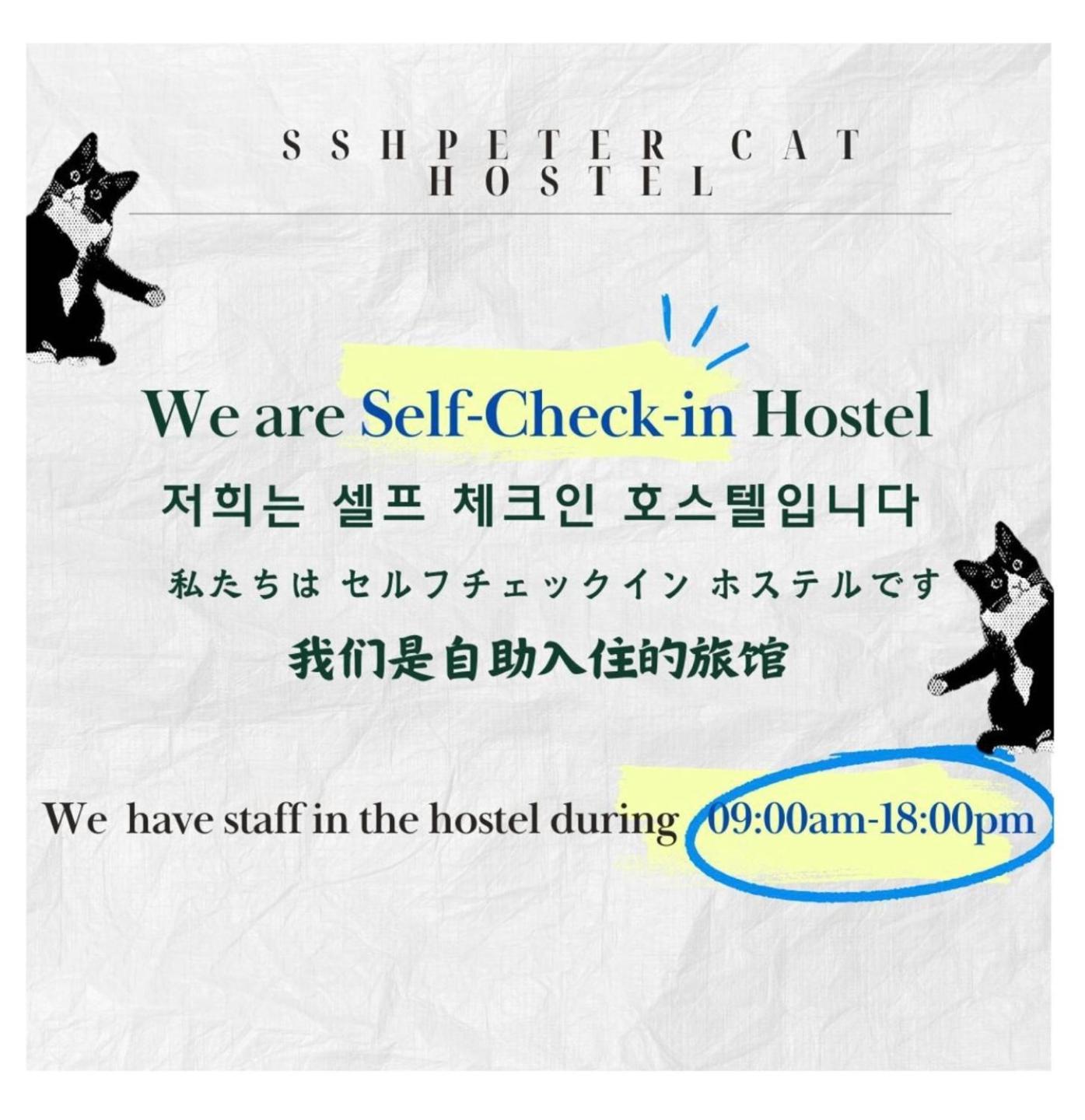 Ssh Ikseon Peter Cat Hostel 首爾 外观 照片