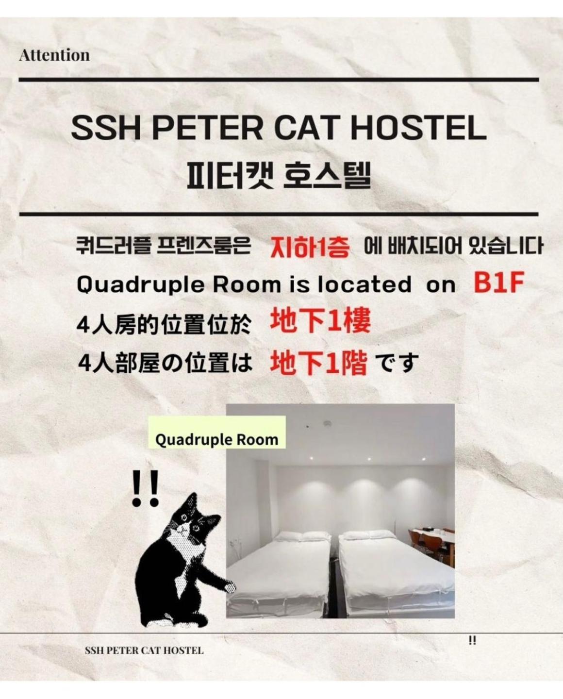 Ssh Ikseon Peter Cat Hostel 首爾 外观 照片